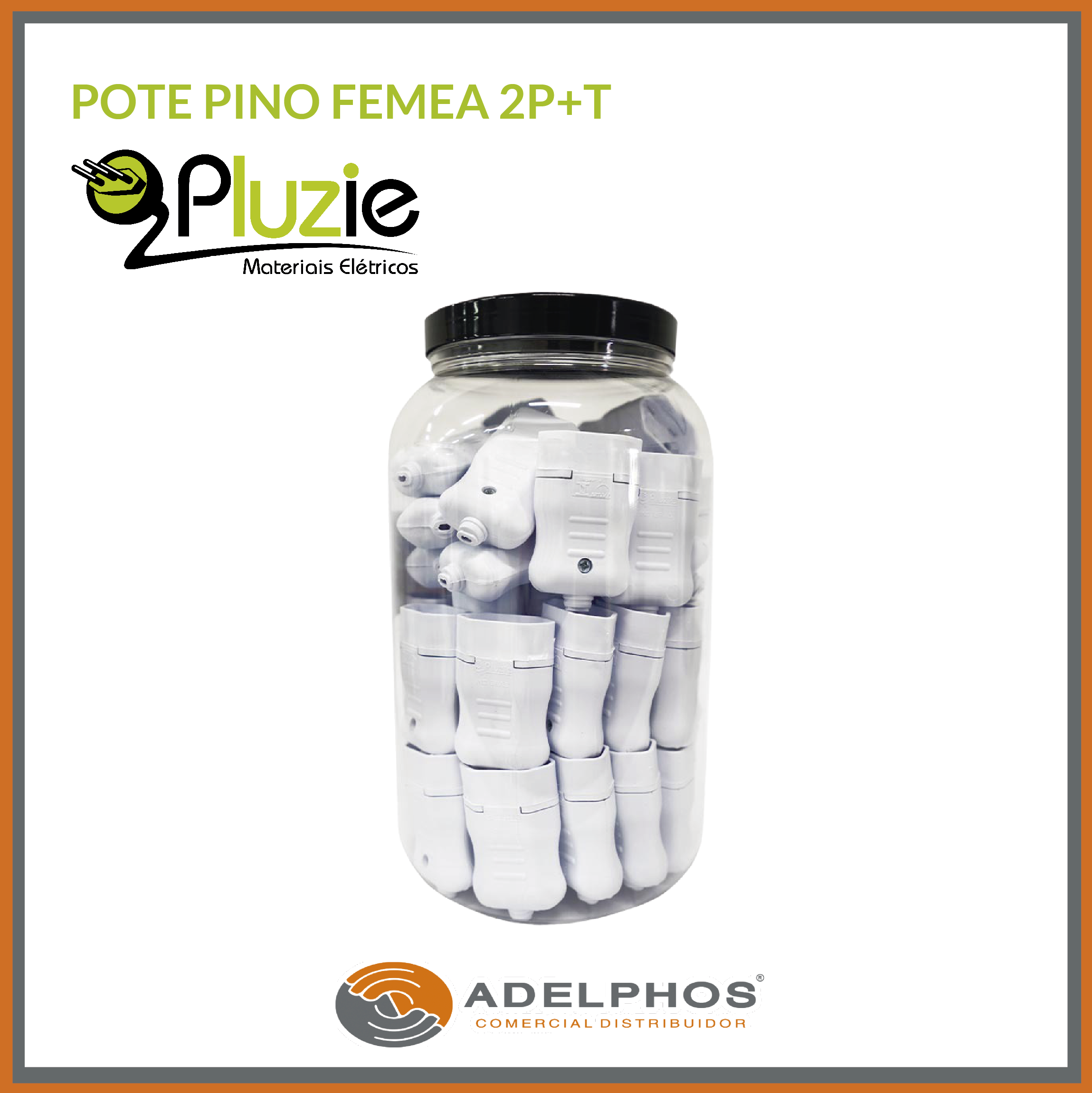 pote-pinofemea